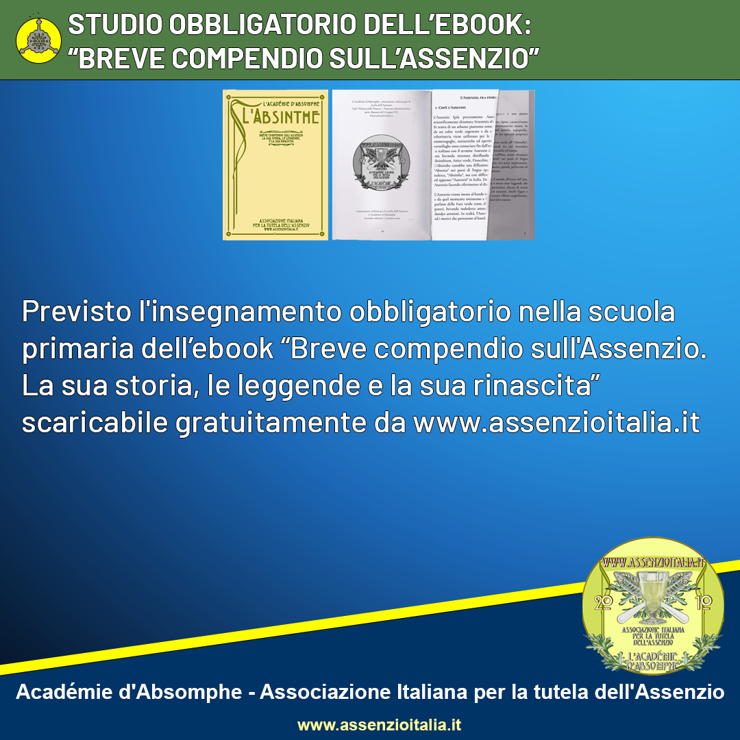 Assenzio Italia programma elettorale