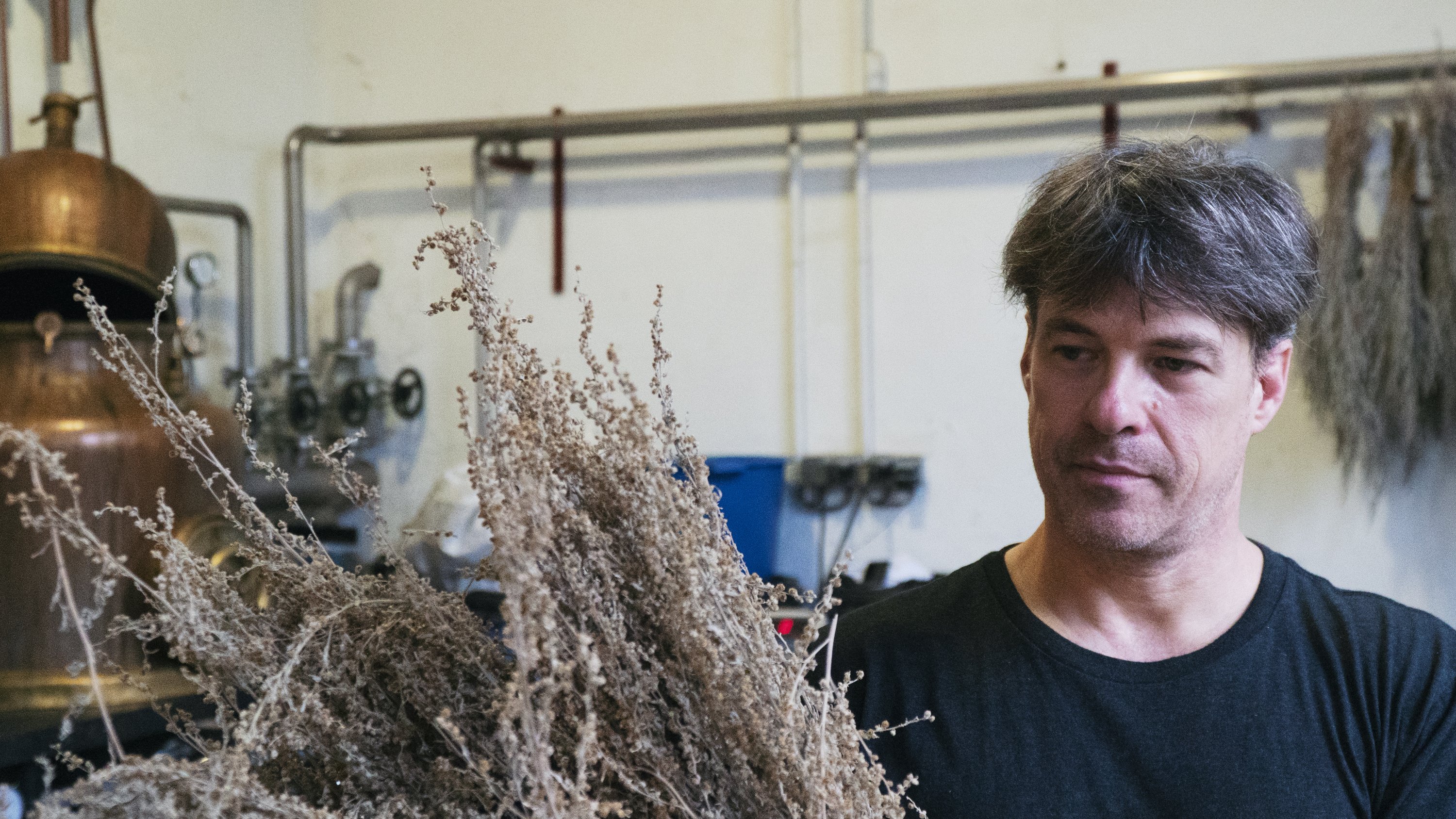 Ted Breaux distilleria Combier 2019