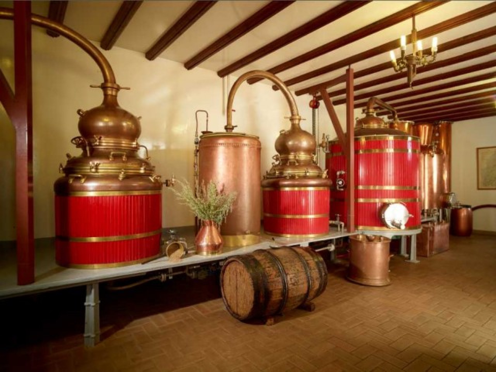 Distilleria Guy: alambicchi