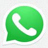 WhatsApp canale Assenzio Italia